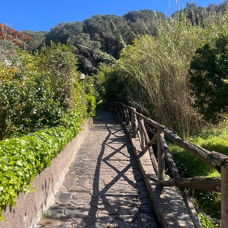 Appartamento La Casina Di Checco Marciana Marina  Esterno foto